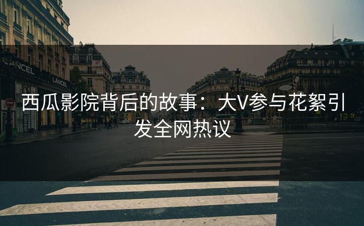 西瓜影院背后的故事：大V参与花絮引发全网热议