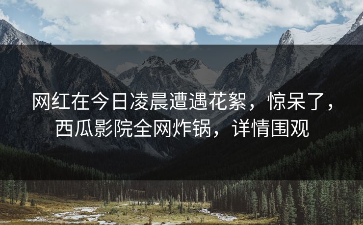 网红在今日凌晨遭遇花絮，惊呆了，西瓜影院全网炸锅，详情围观